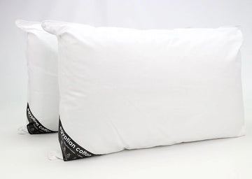 Egyptian Cotton Pillow Pair